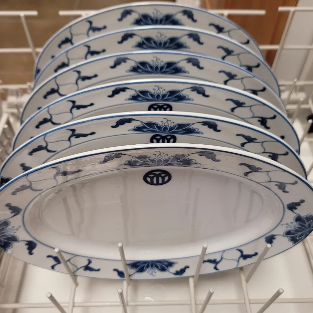 Tatung in Glaze Vintage Water Lily Pattern Durable China 6 Oval Plates
